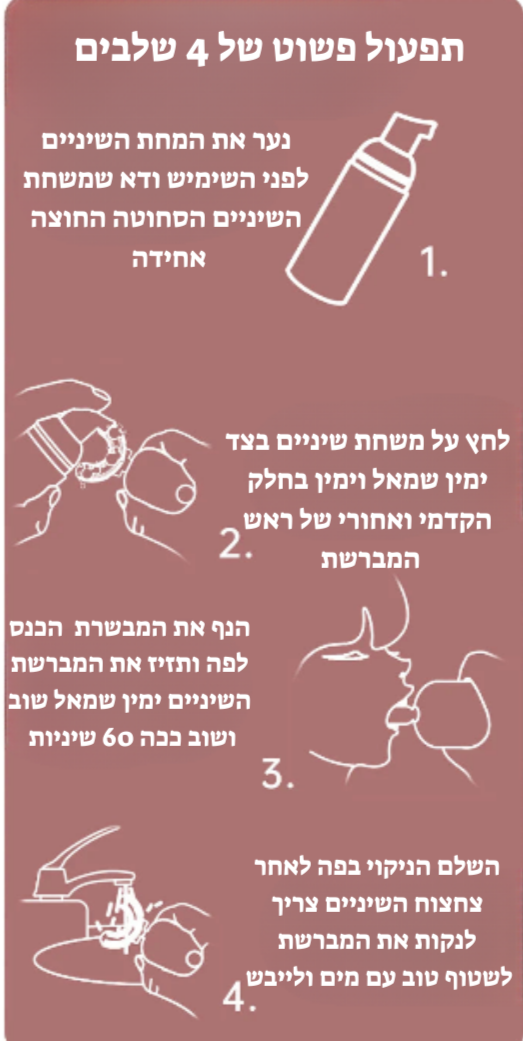 מברשת שיניים לבייבי שלך גילאים 2-6